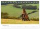 Thumbnail-11