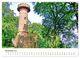 Thumbnail-12