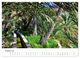 Thumbnail-13