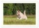 Thumbnail-9