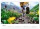 Thumbnail-12