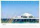 Thumbnail-11