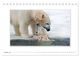 Thumbnail-12