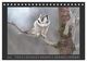 Thumbnail-12