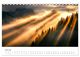 Thumbnail-9