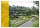 Thumbnail-14