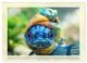 Thumbnail-10