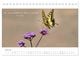 Thumbnail-12