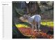 Thumbnail-10