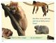 Thumbnail-11