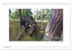 Thumbnail-11