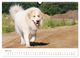 Thumbnail-10