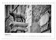 Thumbnail-10