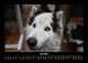 Thumbnail-11