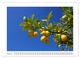 Thumbnail-9