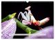Thumbnail-14