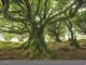 Thumbnail-2