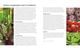 Thumbnail-11