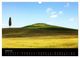 Thumbnail-11