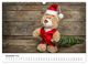 Thumbnail-14