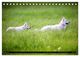 Thumbnail-11