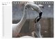 Thumbnail-10