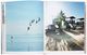 Thumbnail-8