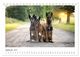 Thumbnail-11