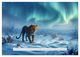 Thumbnail-14