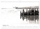 Thumbnail-14
