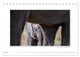Thumbnail-9
