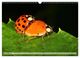 Thumbnail-14
