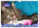 Thumbnail-9