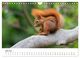 Thumbnail-11