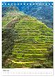 Thumbnail-9