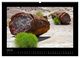 Thumbnail-11