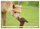 Thumbnail-8