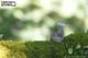 Thumbnail-8