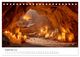 Thumbnail-14