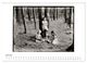 Thumbnail-12