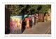 Thumbnail-11