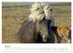 Thumbnail-12