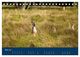 Thumbnail-10