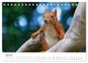 Thumbnail-9