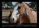 Thumbnail-11
