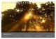 Thumbnail-14