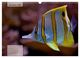 Thumbnail-13