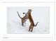 Thumbnail-14