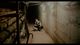 Thumbnail-10