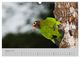 Thumbnail-13